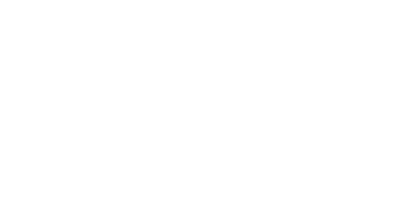 Best Way logo white